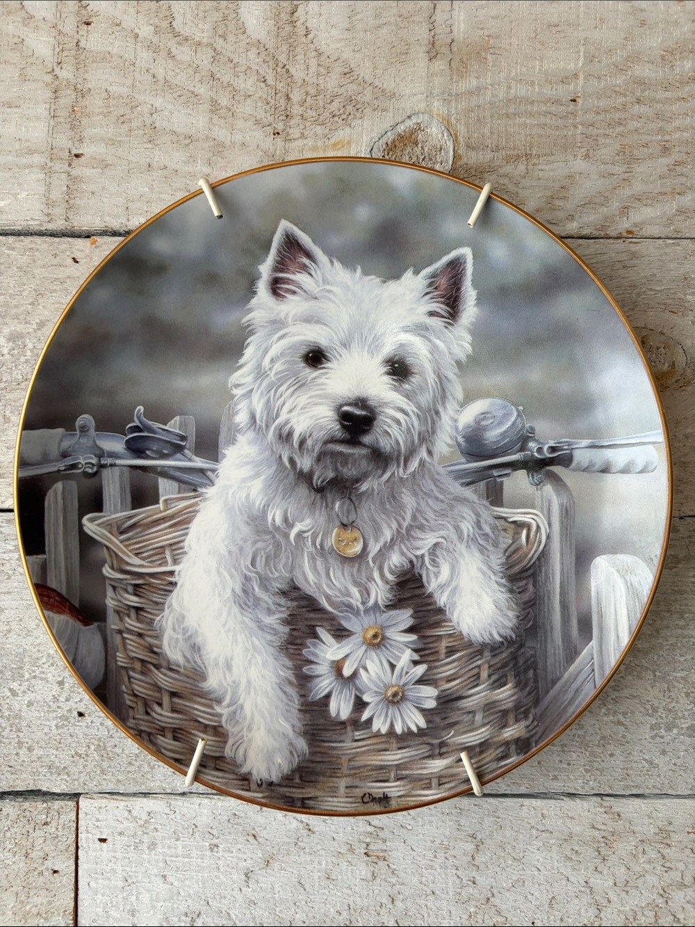 Vintage Hitching A ride by Paul Doyle Westies